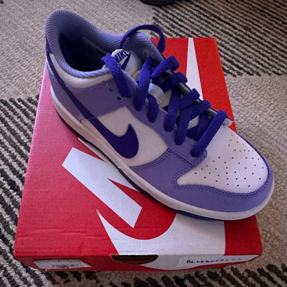 Nike Dunks Blueberry 🫐